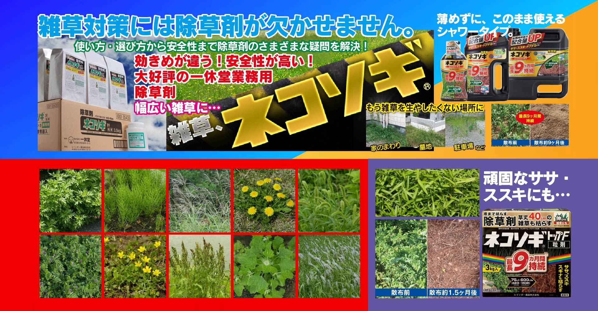 寺院向け通販　一休堂