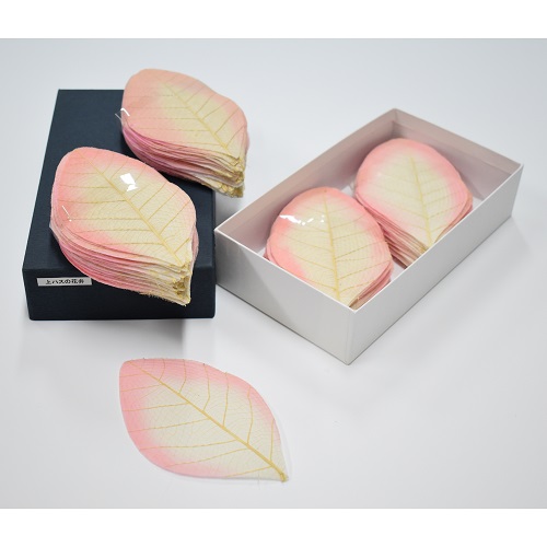 上ハスの花弁200入